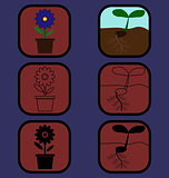 Plant icons set