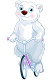Polar Bear Riding a Bicycle