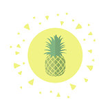 Tropical fruit pineapple