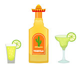 Tequila bottle with glasses and pieces of lime icon flat, cartoon style isolated on white background. Vector illustration, clip art. Traditional Mexican drink.