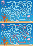 Jellyfish maze