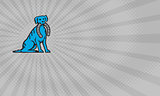 Blue Dog Farrier Business card