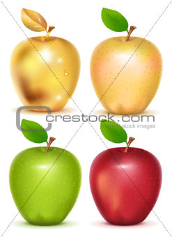 Set of red, yellow, green and gold apple on white background