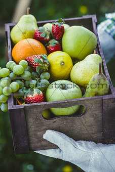 Fresh fruit and farmer
