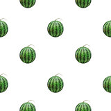 Seamless background of watermelon, vector illustration.