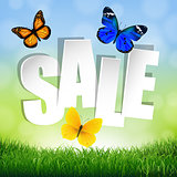 Sale Banner With Grass Border