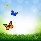 Spring Landscape With Butterfly
