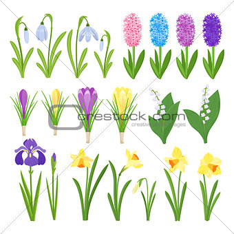 Spring flowers. Irises, lilies of valley, tulips, narcissuses, crocuses and other primroses. Garden design icons isolated on white background