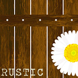 Rustic background with fence and daisy