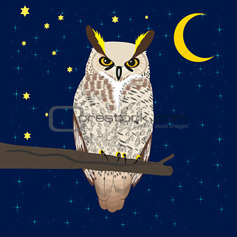 Owl sitting at woods under moon
