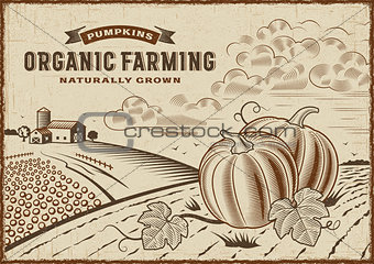 Pumpkin Organic Farming Landscape