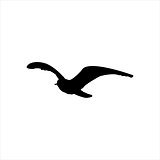 Flying Seagull Bird black silhouette isolated on white background
