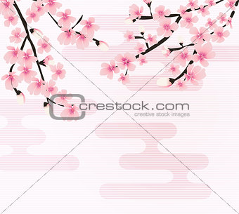 Abstract Floral Sakura Flower Japanese Natural Background Vector