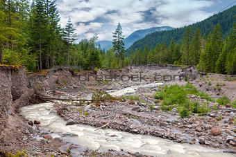 Sandy River in Mount Hood National Forest