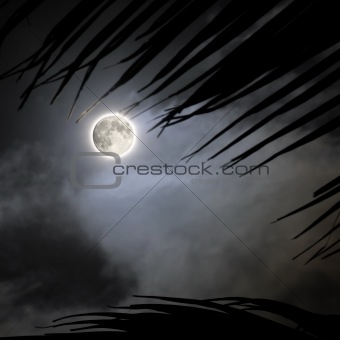 Tropical night - full moon