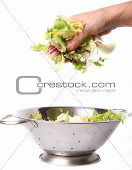 salad in hand