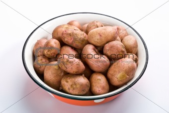 new potatoes 