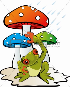 Mushroom and toad