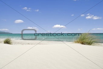 Sea and white sand