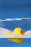 floating rubber duck