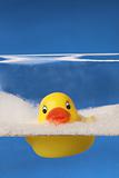 rubber duck in blue water