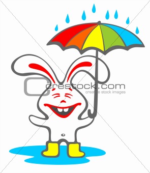 happy rabbit with umbrella