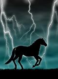 Horse in the storm