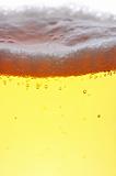 close up of beer with bubbles
