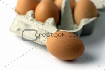 brown hens eggs