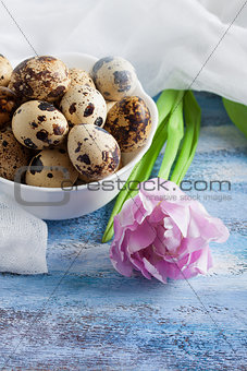 Quail eggs in bowl purple rose tulip and gauze