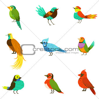 Exotic Birds From Jungle Rain Forest Collection Of Colorful Animals Including Species Of Paradise Birds And Parrots