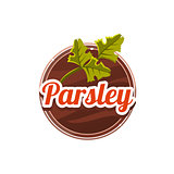 Parsley Spice. Vector Illustration.