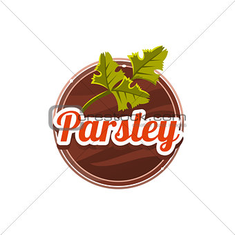 Parsley Spice. Vector Illustration.