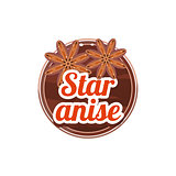 Star Anise Spice. Vector Illustration.