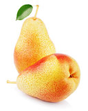 Two sweet red yellow pear fruits