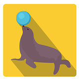Sea lion with a ball, circus icon flat style with long shadows, isolated on white background. Vector illustration.