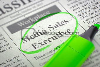 Media Sales Executive Wanted. 3d.