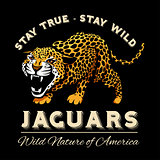Vector Jaguar leopard Logo emblem symbol
