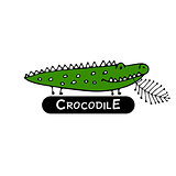 Funny crocodile, sketch for your design