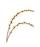Willow branch icon, flat style. Isolated on white background. Vector illustration, clip-art.