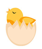 Nestling hatched from egg, yellow chicken icon, flat style. Isolated on white background. Vector illustration, clip-art.