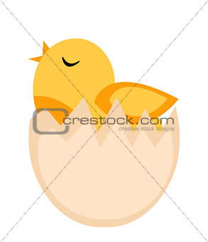 Nestling hatched from egg, yellow chicken icon, flat style. Isolated on white background. Vector illustration, clip-art.