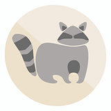 Excellent flat raccoon icon