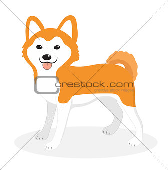 Akita Inu breed dog icon, flat, cartoon style. Cute puppy isolated on white background. Vector illustration, clip-art.