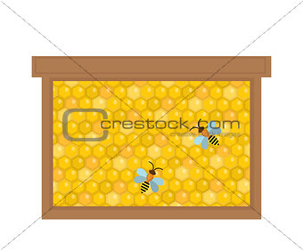 Honeycomb in wooden frame icon, flat style. Isolated on white background. Vector illustration, clip-art.