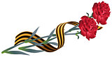 Red carnation flower and St. Georges ribbon. Symbol of Victory Day