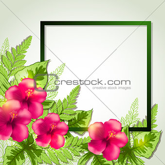 Summer frame with red flowers 