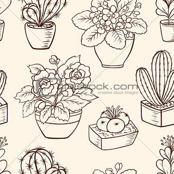 Pattern with houseplants