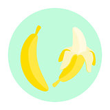 Cartoon banana fruit vector.