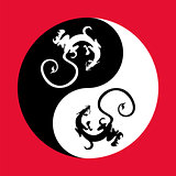 Dragon the yin yang.